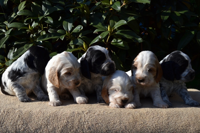 25-Janet, Jantar, Just, Jambo, Jessi, Janie.JPG